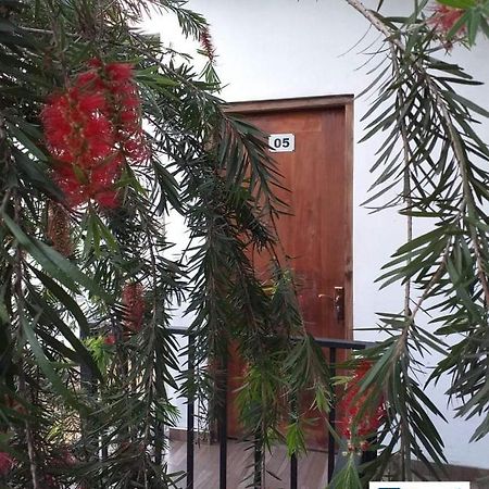 Travel Nest Διαμέρισμα Badulla Εξωτερικό φωτογραφία